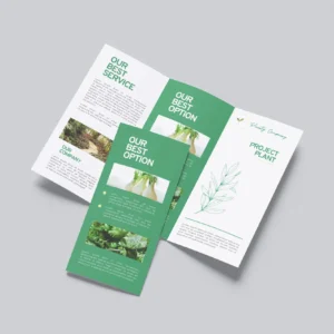 Pamphlet printing in Ankleshwar SS Graphics